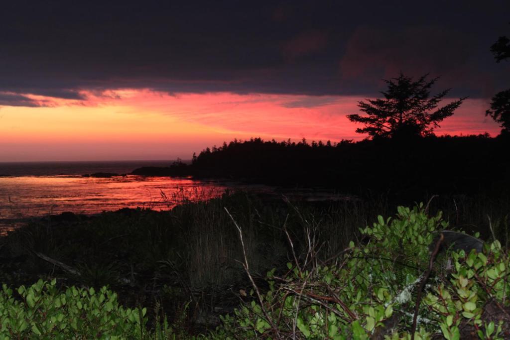 Cygnet Cove Suites Ucluelet Exterior photo